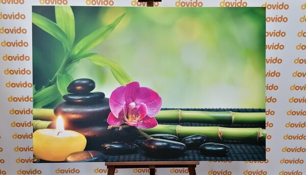 Obraz harmonia Feng Shui