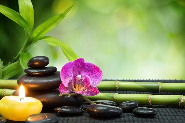 Obraz harmonia Feng Shui