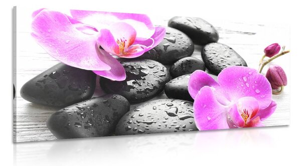 Obraz magiczna gra kamieni i orchidei