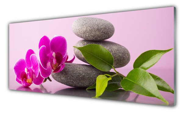 Obraz Szklany Kwiat Orchidea Zen Roślina