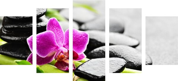 5-częściowy obraz wellness zacisze z fioletową orchideą