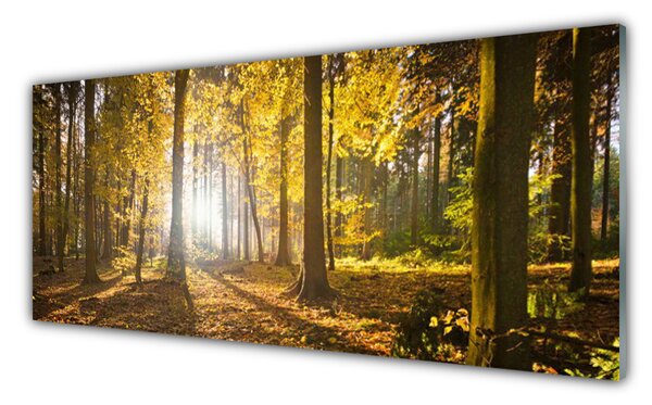 Obraz Szklany Las Liście Roślina Natura