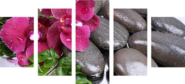 5-częściowy obraz kwitnąca orchidea i kamienie wellness