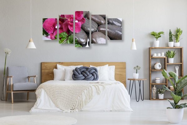 5-częściowy obraz kwitnąca orchidea i kamienie wellness