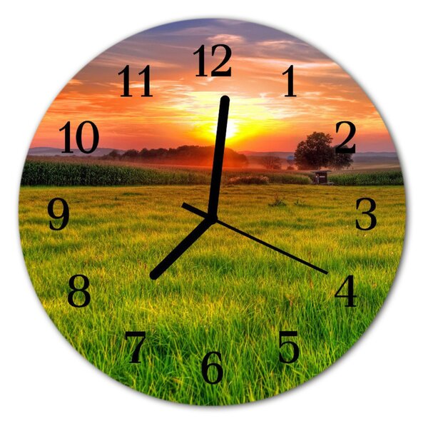Zegar ścienny okrągły Krajobraz łąka
