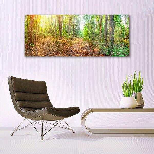 Obraz na Szkle Las Natura Drzewa