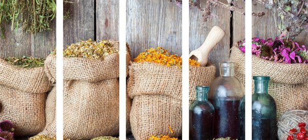 5-częściowy obraz zioła lecznicze