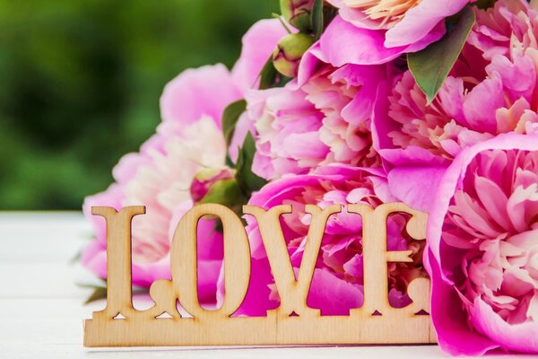 Obraz piwonie z napisem Love