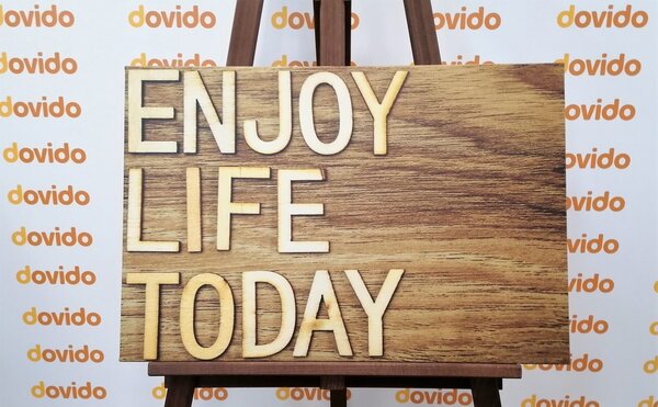 Obraz z cytatem - Enjoy life today