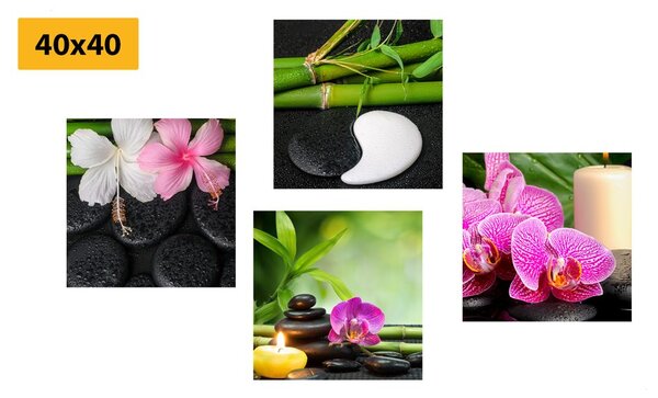 Zestaw obrazów martwa natura Feng Shui