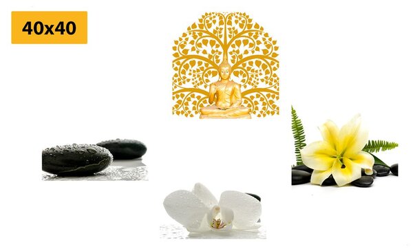 Zestaw obrazów Feng Shui z delikatną martwą naturą
