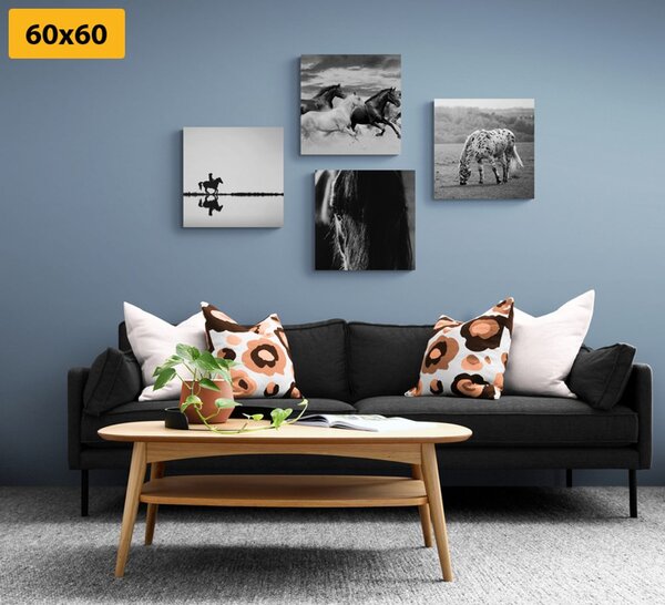 Zestaw obrazów dla miłośników koni w wersji czarno-białej