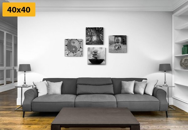Zestaw obrazów w czarno-białym stylu Feng Shui