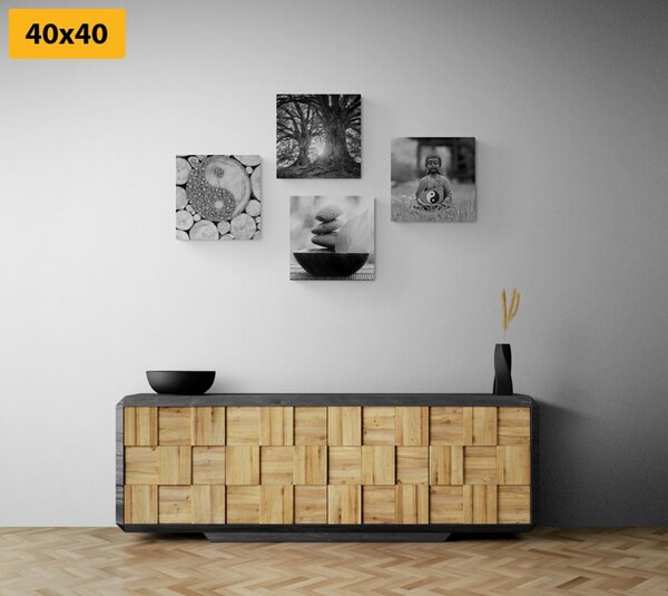 Zestaw obrazów w czarno-białym stylu Feng Shui
