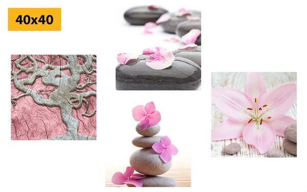 Zestaw obrazów delikatne kompozycje Feng Shui