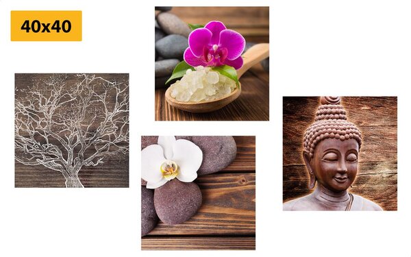 Zestaw obrazów Feng Shui w naturalnym designie