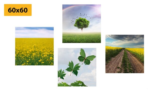 Zestaw obrazów olśniewająca natura
