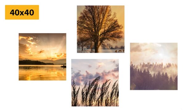 Zestaw obrazów naturalne piękno