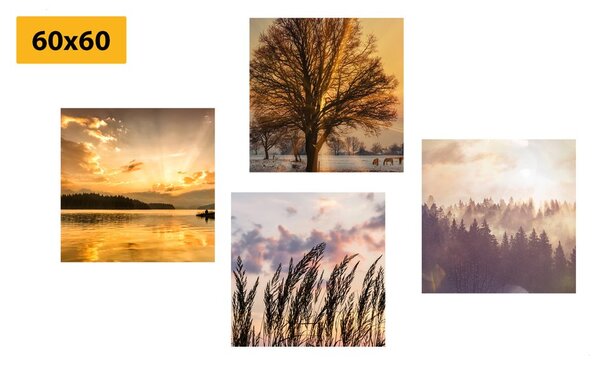 Zestaw obrazów naturalne piękno