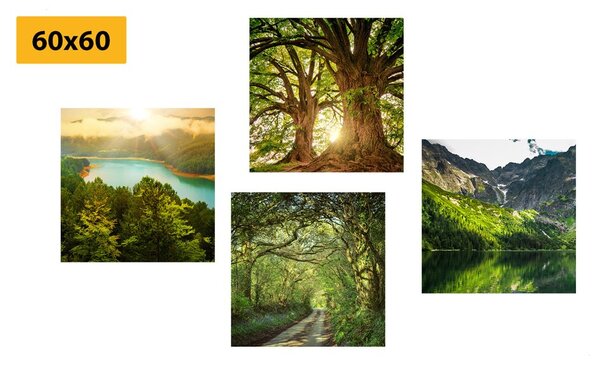 Zestaw obrazów wspaniała zielona przyroda