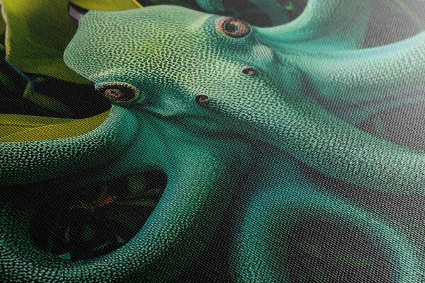 Obraz surrealistyczna ośmiornica