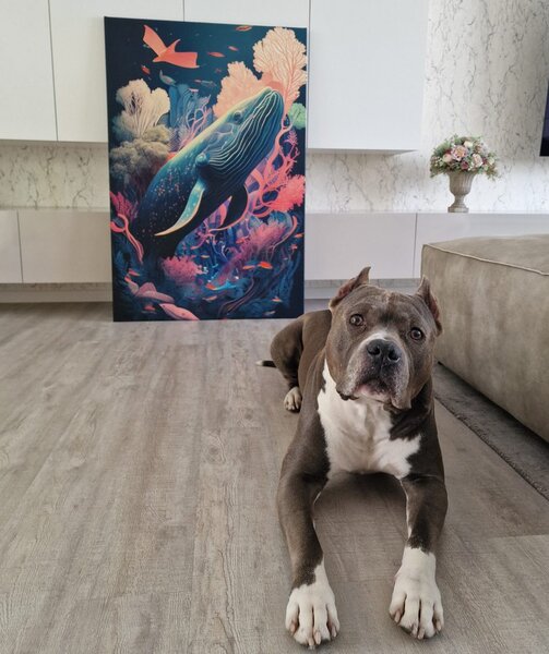 Obraz surrealistyczny wieloryb