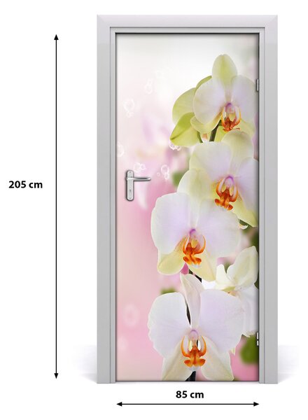 Naklejka samoprzylepna na drzwi Biała orchidea