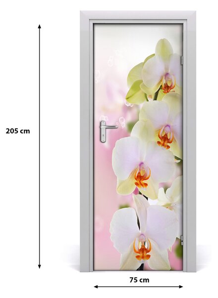 Naklejka samoprzylepna na drzwi Biała orchidea