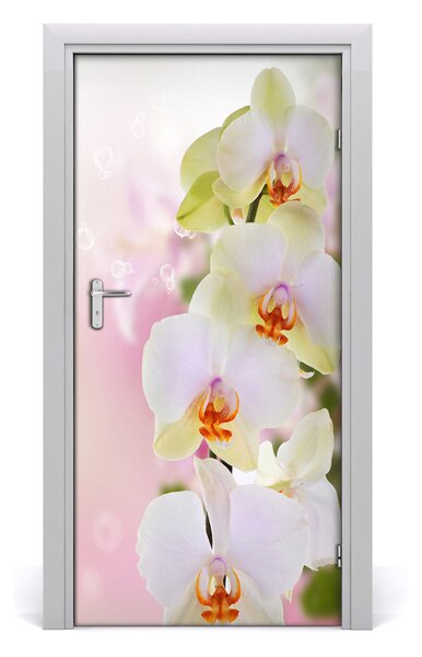 Naklejka samoprzylepna na drzwi Biała orchidea
