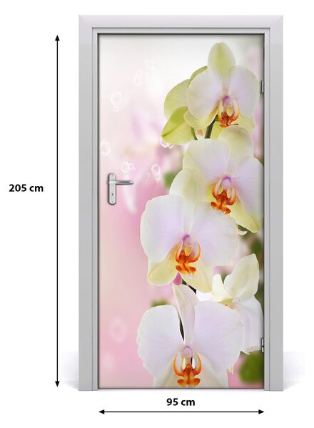Naklejka samoprzylepna na drzwi Biała orchidea