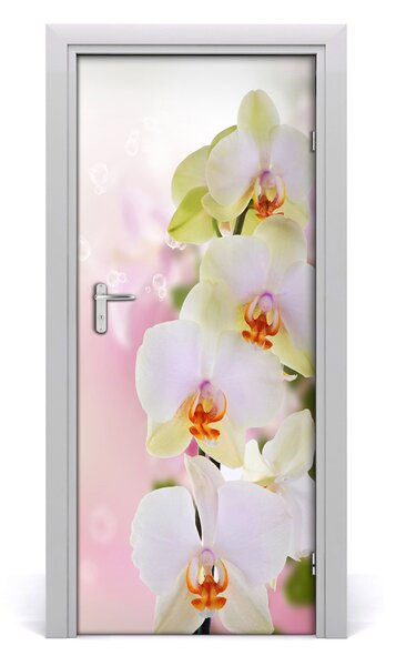 Naklejka samoprzylepna na drzwi Biała orchidea