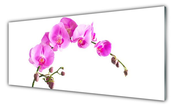 Obraz Szklany Kwiaty Roślina Natura