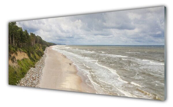 Obraz na Szkle Plaża Morze Drzewo Natura