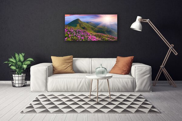 Obraz canvas Kwiatowy Dywan u Stóp Gór