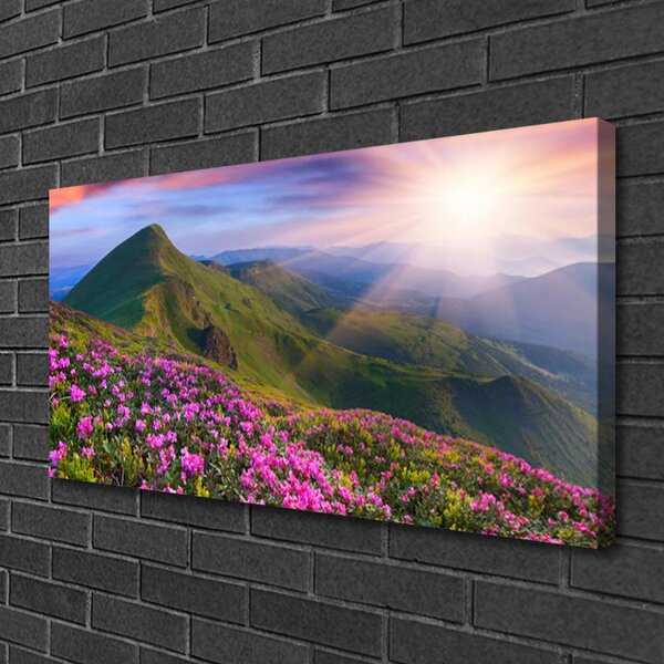 Obraz canvas Kwiatowy Dywan u Stóp Gór