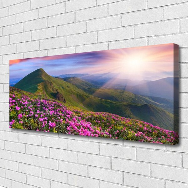 Obraz canvas Kwiatowy Dywan u Stóp Gór