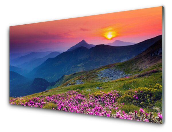 Obraz Szklany Góry Łąka Kwiaty Krajobraz