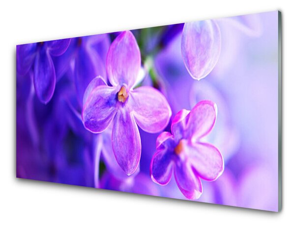 Obraz Szklany Kwiaty Fioletowe Natura
