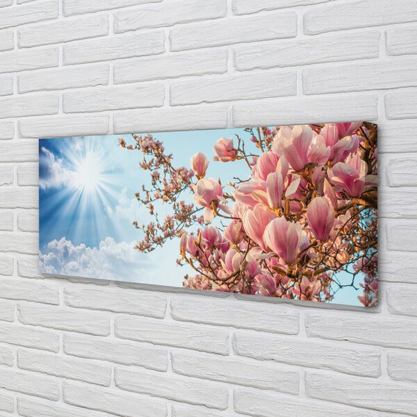 Obraz canvas na ścianę Magnolia na tle Nieba w Słońcu