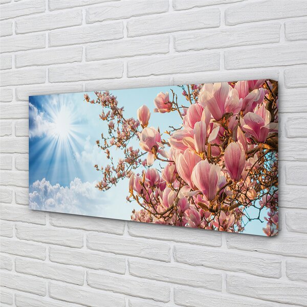 Obraz canvas na ścianę Magnolia na tle Nieba w Słońcu