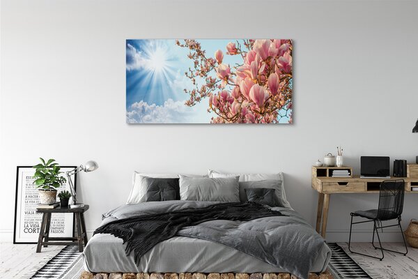 Obraz canvas na ścianę Magnolia na tle Nieba w Słońcu