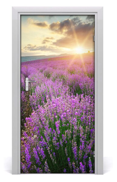 Naklejka fototapeta na drzwi Pole lawendy