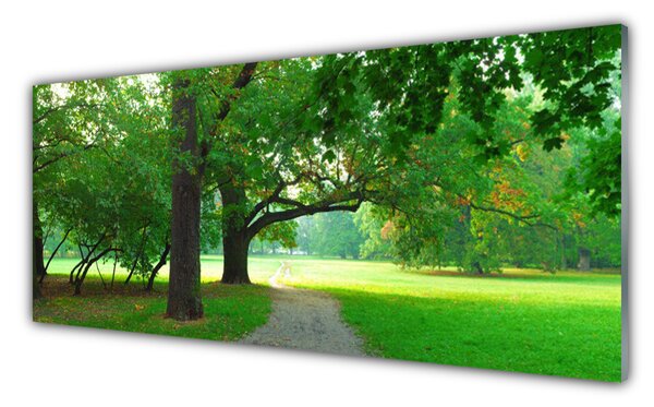 Obraz Szklany Ścieżka Drzewa Natura