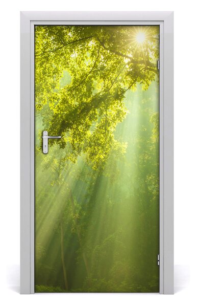 Naklejka fototapeta na drzwi Słońce w lesie