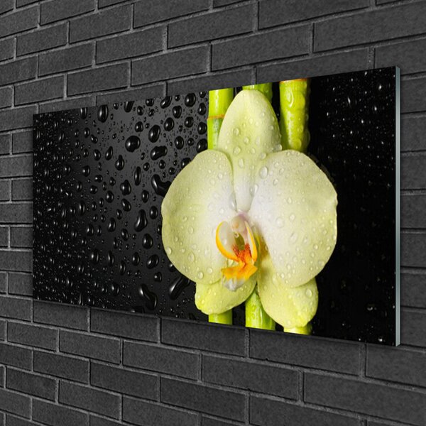 Obraz Szklany Bambus Kwiaty Orchidea