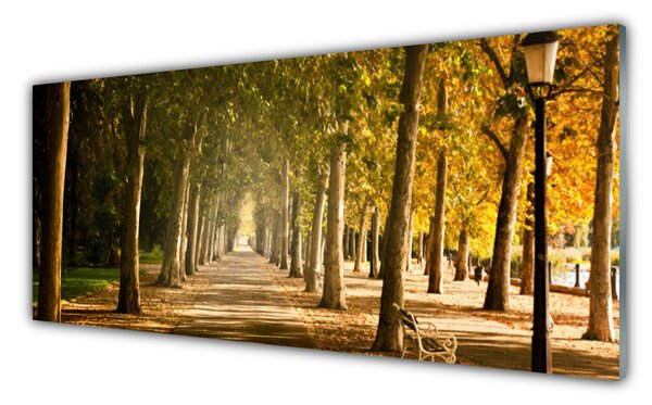 Obraz na Szkle Park Alejka Krajobraz