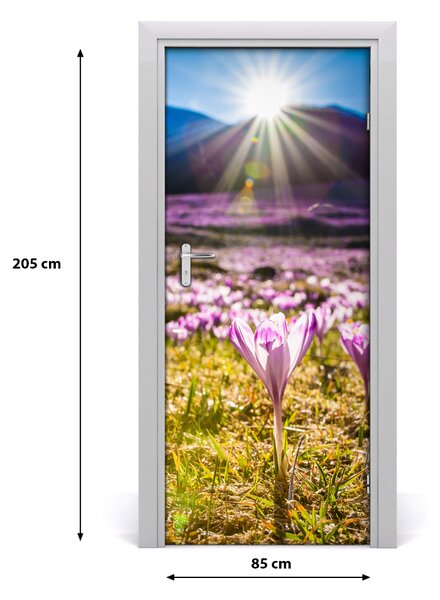 Naklejka na drzwi samoprzylepna Krokusy w górach