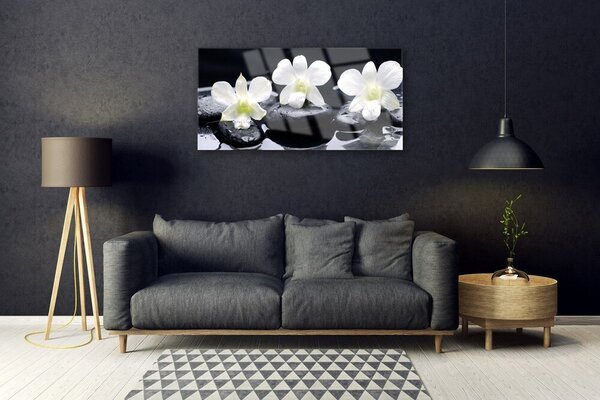 Obraz na Szkle Orchidea Kamienie Roślina