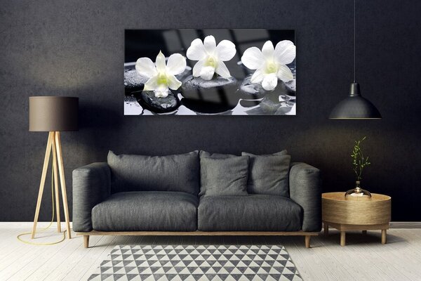 Obraz na Szkle Orchidea Kamienie Roślina