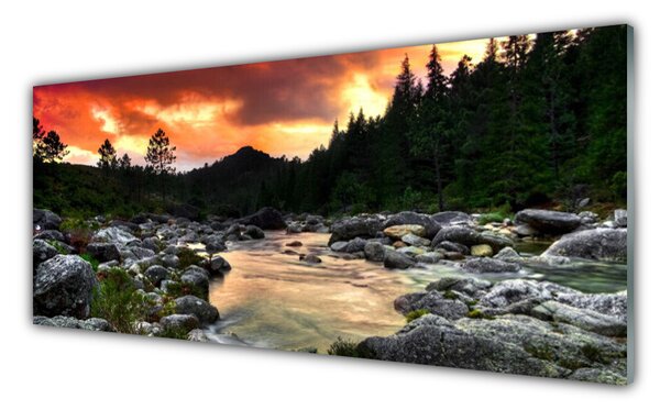 Obraz Szklany Jezioro Rzeka Las Natura